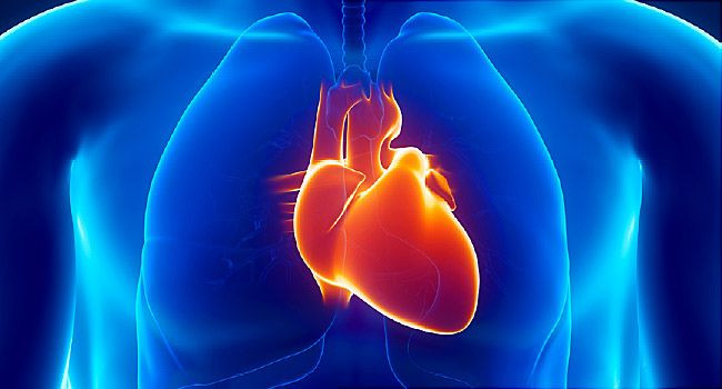 Cơn đau này có nhiều biểu hiện, không chỉ đau ở tim mà có thể đau tức ngực, đau vùng trước tim. Đôi khi, những cơn đau thắt có thể xảy ra ở ngực trước, sau lưng, hàm, bụng trên, cánh tay trái, vai... Một số cơn co thắt còn không gây đau đớn. Cơ thể chỉ có biểu hiện như tức ngực, nghẹt thở, đổ mồ hôi, buồn nôn và nôn. Ảnh: Webmd.