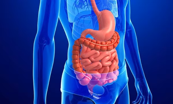 Tăng nguy cơ mắc bệnh tim mạch và mạch máu não. Không giống cà phê nguyên chất, cà phê hòa tan được trộn nhiều đường, hương liệu và chất phụ gia. Nghiên cứu chỉ ra, các chất phụ gia và hợp chất khác nhau trong cà phê hòa tan mà cà phê có chứa kem không sữa, có thể dẫn đến sự tích tụ lớn chất béo trong cơ thể. Mặt khác, lượng lớn chất phụ gia có thể làm tăng các vấn đề sức khỏe mạch máu não. (Ảnh minh họa)