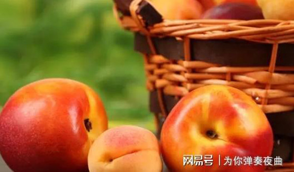 Đào còn chứa các axit trái cây tự nhiên, có thể thúc đẩy quá trình phân hủy và chuyển hóa thức ăn, giảm tích tụ độc tố. Nhờ vậy, ăn đào không chỉ thúc đẩy tiêu hóa mà còn có thể giảm cân. (Ảnh: Aboluowang)