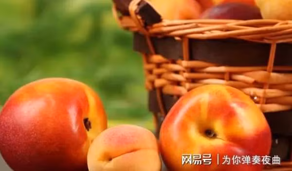 Đào còn chứa các axit trái cây tự nhiên, có thể thúc đẩy quá trình phân hủy và chuyển hóa thức ăn, giảm tích tụ độc tố. Nhờ vậy, ăn đào không chỉ thúc đẩy tiêu hóa mà còn có thể giảm cân. (Ảnh: Aboluowang)