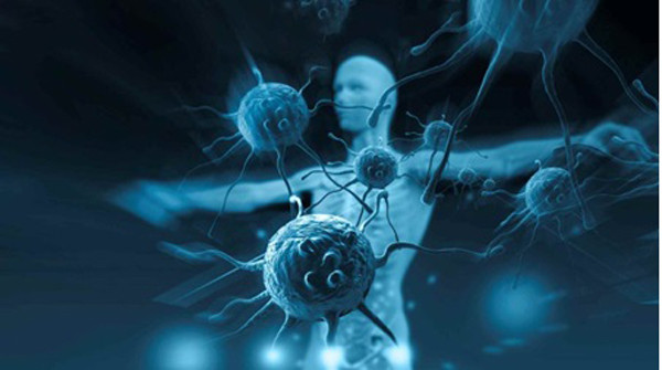 Chống ung thư. Đào chứa axit clohydric và benzaldehyde có tác dụng tiêu diệt nhất định tế bào ung thư. Ngoài ra, các chất chuyển hóa có trong hạt đào cũng có thể cải thiện tình trạng thiếu máu ở bệnh nhân ung thư. Nghiên cứu chỉ ra đào góp phần chống đông máu, cân bằng tiểu cầu và ức chế sự kết tụ của các tiểu cầu. (Ảnh minh họa)