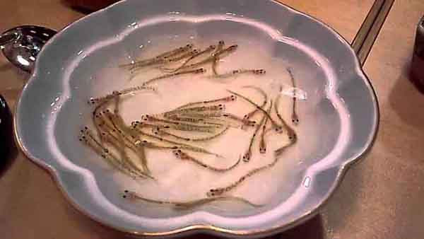 Được biết, Shirouo no odorigui xuất hiện từ thời Edo cách đây khoảng 300 năm. Thời đó, phương pháp trị thủy còn nhiều hạn chế, chuyện mưa lũ gây thiệt hại tài sản xảy ra thường xuyên. Mỗi lần cơn lũ đi qua, các địa chủ (daimyo) sẽ thuê người dọn vệ sinh khu vực sản xuất. Ngoài tiền công, daimyo sẽ tặng họ rượu sake để cảm ơn, động viên làm việc hiệu quả. (Ảnh: Otakurei)