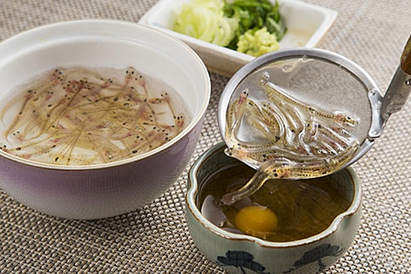 Shirouo no odorigui là món ăn sống nên cách thưởng thức cũng có phần đặc biệt. Những chú cá sẽ được đựng trong một bát lớn, chứa ít nước. Khi ăn, thực khách sẽ đập một quả trứng hoặc chút giấm để tăng hương vị, khiến những chú cá xót, “nhảy múa”, quẫy đạp tạo cảm giác mạnh. (Ảnh: Travel Cheap Flight)