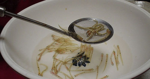 Shirouo no odorigui thường được dùng với rượu sake giống như truyền thống. Đứng trước cái chết, đồ nhắm biết “nhảy múa” sẽ hoạt động tưng bừng. (Ảnh: Frick)