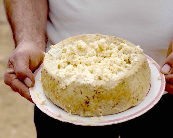 Casu Marzu có nguồn gốc từ pho mát Pecorino. Tuy nhiên, Casu Marzu không phải pho mát lên men đơn thuần. Một miếng Casu Marzu đạt chuẩn phải ở giai đoạn thối rữa, đầy giòi ngoe nguẩy. Đôi khi, để rút ngắn quá trình sản xuất, ấu trùng ruồi sẽ được cấy trực tiếp vào pho mát nhằm thúc quá trình lên men, phá vỡ chất béo.