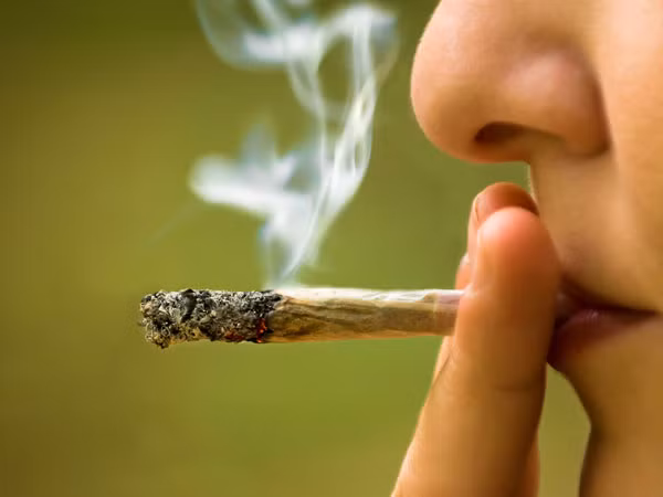 Thực tế, thuốc lá trà tuy chứa trà nhưng về cơ bản thành phần giống như thuốc lá thông thường. Hút chúng, bạn vẫn nạp lượng nicotin lớn vào cơ thể. Ảnh: Boldsky.