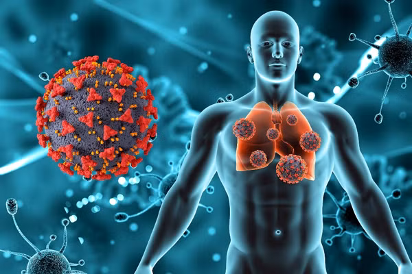 Được biết, ung thư phổi được ví như “kẻ giết người số 1” trong các loại ung thư. Hầu hết trường hợp mắc bệnh đều có thói quen hút thuốc. Tích cực tập luyện, không hút thuốc lá, rượu bia...giúp tăng cường sức khỏe, giảm khả năng mắc bệnh song không tuyệt đối. (Ảnh: Freepik)