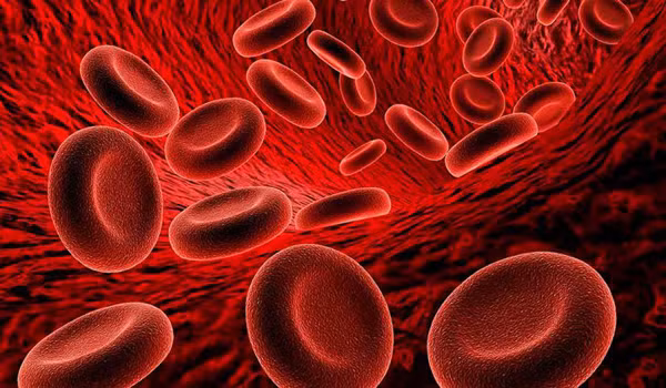 Giảm cung cấp máu. Thức khuya khiến lượng máu cung cấp cho các cơ quan nội tạng, trong đó có gan giảm mạnh. Tình trạng thiếu oxy, lượng máu không đủ kéo dài sớm muộn cũng khiến tế bào gan tổn thương. (Ảnh minh họa)