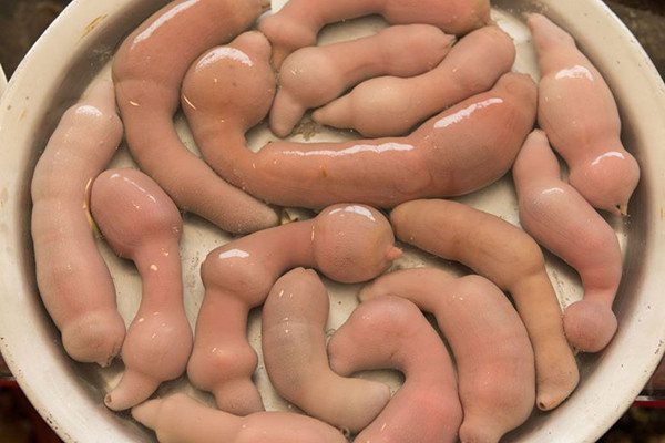 Vẻ ngoài đặc biệt song giun thìa biển “thuyết phục” thực khách bằng hương vị giòn dai, thơm ngon hiếm thấy.