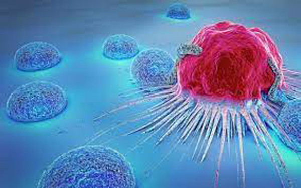 Thức khuya tăng nguy cơ ung thư. Năm 2007, Tổ chức Y tế Thế giới xếp "thức khuya" có khả năng gây ung thư loại 2A, cùng loại với thực phẩm chiên rán ở nhiệt độ cao.