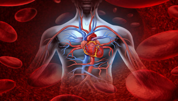 Các mạch máu co thắt thất thường. Cùng với tác động của áp lực cao, các mảng bám huyết khối trong mạch máu “rơi ra”, gây tắc nghẽn, nhồi máu não.