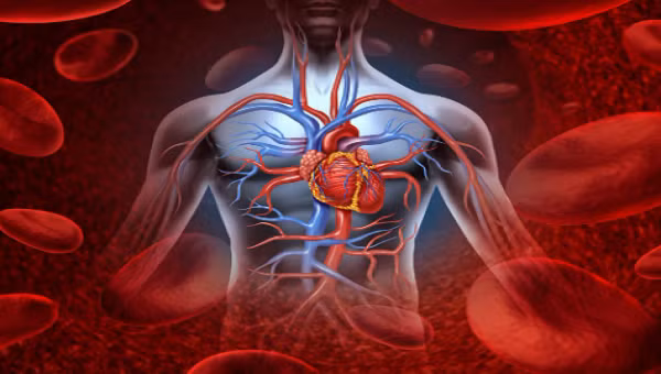 Các mạch máu co thắt thất thường. Cùng với tác động của áp lực cao, các mảng bám huyết khối trong mạch máu “rơi ra”, gây tắc nghẽn, nhồi máu não.