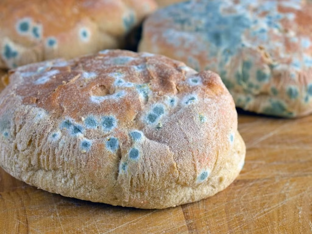 Năm 1993, Viện Nghiên cứu Ung thư của WHO phân loại aflatoxin là chất gây ung thư tự nhiên, có độc tính cao, cực kỳ nguy hiểm. Chỉ cần tiêu thụ 1mg aflatoxin có thể làm tăng nguy cơ ung thư, trường hợp tiêu thụ hơn 20mg có thể dẫn tới tử vong.