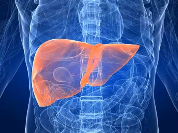 Acetaldehyde sinh ra từ quá trình chuyển hóa rượu có độc tính cao, gây tổn thương và phá hủy mô tế bào gan. Acetaldehyde có khả năng phát triển thành xơ gan, thậm chí dẫn đến ung thư gan.