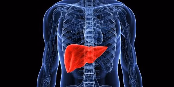 Trong khi đó, y học hiện đại cho rằng nốt ruồi máu, nốt ruồi nhện bắt nguồn từ rối loạn chức năng gan, khiến khả năng chuyển hóa estrogen thừa suy giảm. Lượng estrogen trong máu tăng cao khiến mao mạch giãn nở, hình thành những chấm đỏ.