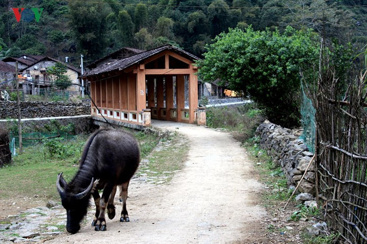 Khuổi Kỵ nổi tiếng với cái tên “làng đá” và tục thờ thần đá độc đáo vùng biên giới. (Ảnh: Đường vào làng Khuổi Ky).