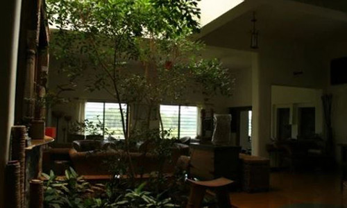 Dau hieu nha pham am khi, gia chu lam gi cung hao tai tan cua