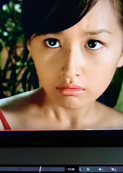 Sau khi trở thành hoa hậu, Mai Phương Thúy thử sức với công việc đóng phim, làm MC, người mẫu. Tuy nhiên, trong những năm trở lại đây, cô chỉ tập trung vào công việc kinh doanh.