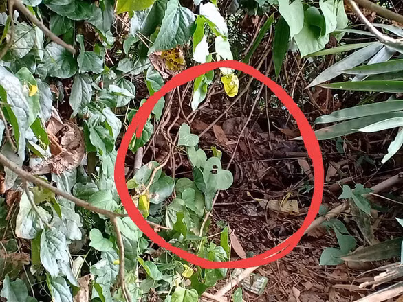 Nong: Vo chong hai rau phat hien thi the nguoi, khong lung va dau