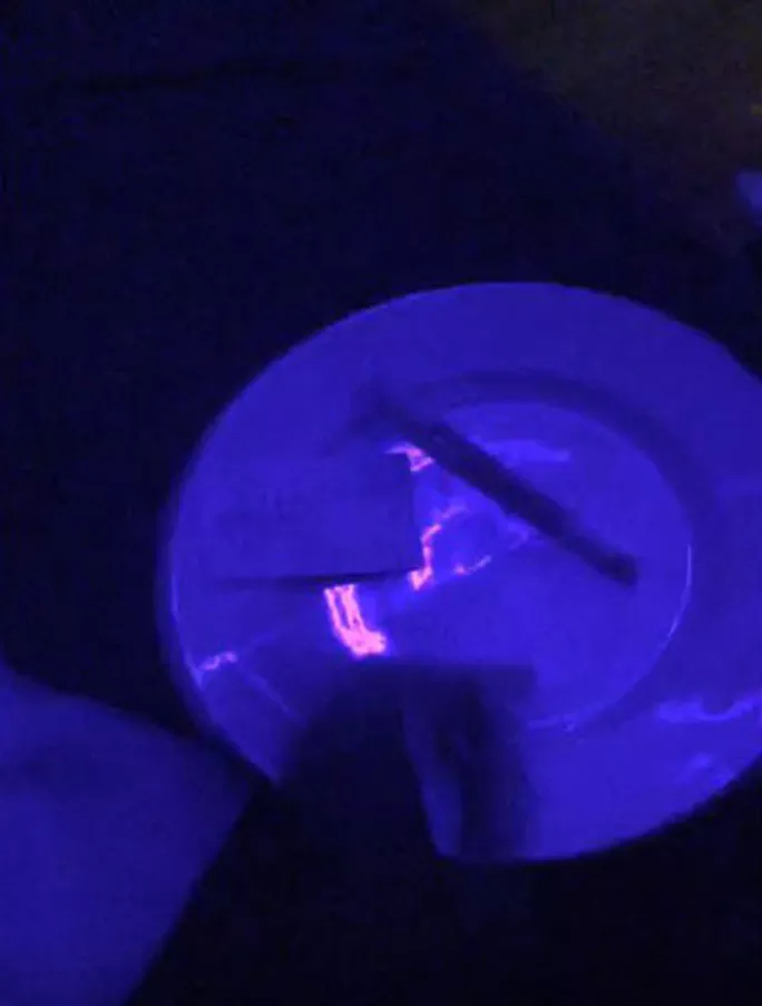 Sau khi làm việc với quản lý, ít phút sau, xuất hiện 5-6 cô gái trẻ ăn mặc khêu gợi vào mời chào khách. Quản lý vừa rời phòng, 4 cô gái vén những chiếc áo mỏng dính, bước đi õng ẹo, lượn qua lượn lại trước mặt khách. Từ bên ngoài, nam nhân viên chạy bàn nhanh nhẹn vào phòng tắt bớt điện, chỉ để lại bóng đèn nhảy mờ ảo. Ảnh: Ma túy được sử dụng trong nhà hàng Sunflower. (Ảnh cắt từ clip do nhóm phóng viên Báo Người Lao Động thực hiện)