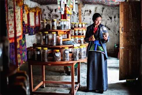 Theo truyền thống ở Tây Tạng , các thầy thuốc chính thức được gọi là “Amchi”. Họ thường là con cái của bác sĩ trong gia đình hoàng tộc, phẩm chất tốt, thông minh, sáng dạ và được đào tạo bài bản từ khi còn nhỏ. Amchi chữa bệnh bằng những phương thuốc bí truyền từ những cây cỏ thiên nhiên. Trong xã hội, Amchi rất được tôn trọng, không chỉ là bác sĩ mà họ còn được coi là những nhà hóa học, thực vật học, nhà giả kim thuật và pháp sư.