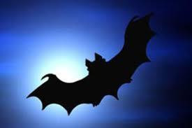 Nước bọt của dơi quỷ có một số công dụng trong y tế. Theo một nghiên cứu đăng trên tạp chí của Hội tim mạch Mỹ, nước bọt của dơi quỷ có tác dụng chống đông máu, có thể điều chế thành loại dược phẩm có tác dụng tăng lưu lượng máu lưu thông cho các bệnh nhân đột quỵ.