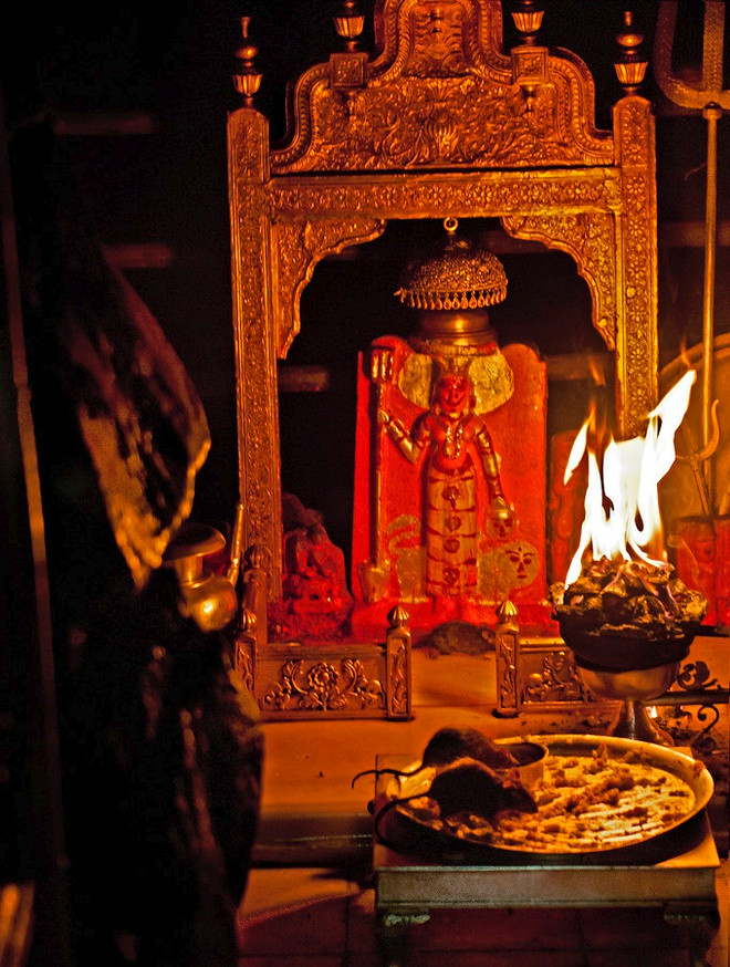  Đền Karni Mata ở Deshnoke, Rajasthan thờ nữ thần Karni Mata. Người dân địa phương tin rằng đây chính là hóa thân của nữ thần Durga, tức nữ thần Mẹ bảo vệ thế giới trong Hindu giáo. Karni Mata được cho là sống ở thế kỷ 14 với cuộc đời khổ hạnh, mọi người vô cùng tôn kính.