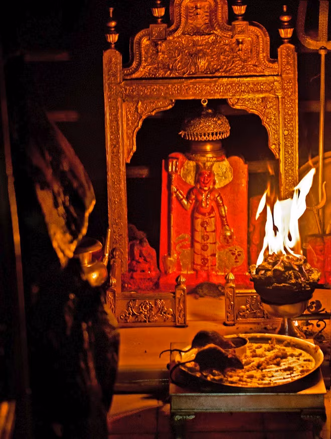  Đền Karni Mata ở Deshnoke, Rajasthan thờ nữ thần Karni Mata. Người dân địa phương tin rằng đây chính là hóa thân của nữ thần Durga, tức nữ thần Mẹ bảo vệ thế giới trong Hindu giáo. Karni Mata được cho là sống ở thế kỷ 14 với cuộc đời khổ hạnh, mọi người vô cùng tôn kính.