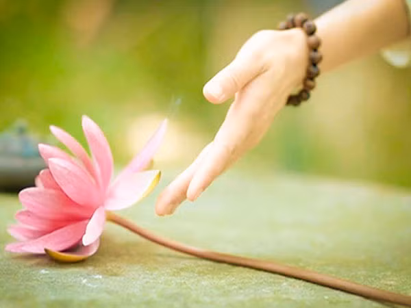 Phat day: Muon hanh phuc, hay buong bo 2 dieu-Hinh-2