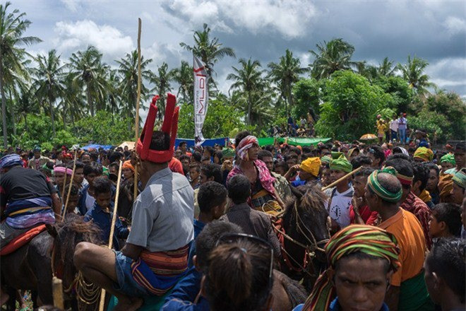 Lễ hội Pasola trước kia từng sử dụng giáo mũi sắt hoặc dao, khiến nhiều người chết và bị thương trong các trận chiến. Hiện nay, người ta dùng giáo cùn hoặc giáo gỗ để tham chiến nhưng mức độ nguy hiểm vẫn còn cao. Vẫn có người thiệt mạng và nhiều người bị thương do giáo đâm trúng mắt hay các vị trí nguy hiểm trên cơ thể.