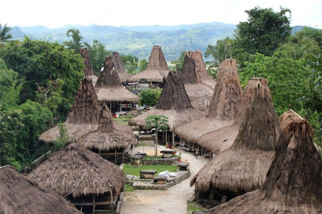 Sumba là một hòn đảo nhỏ của Indonesia với dân số khoảng 650.000 người. Sumba được biết đến với nền văn hóa nông nghiệp lúa nước lâu đời với nhiều nét đặc sắc. Không giống các hòn đảo khác ở Indonesia, ngựa đóng vai trò rất quan trọng trong văn hóa của người Sumba. Sự giàu có và vị trí xã hội của mỗi gia đình thể hiện qua số gia súc nhất là bầy ngựa họ sở hữu.