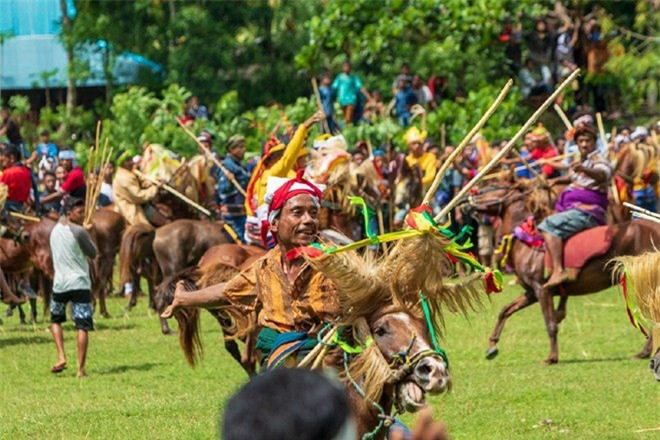 Nói đến Sumba, người ta sẽ nhắc đến lễ hội Pasola đầy ấn tượng. Đó là một trò chơi chiến đấu mang tính cộng đồng được tổ chức mỗi năm một lần nhằm chào mừng mùa gặt mới.