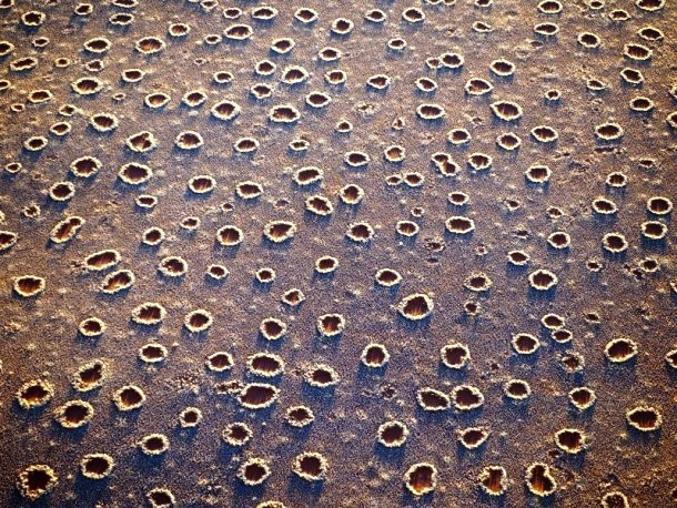  4. Vòng tròn thần tiên: Tại cánh đồng cỏ sa mạc cát ở Namibia, miền Nam châu Phi, "vòng tròn thần tiên" là một bí ẩn đánh đố các nhà khoa học. Những vòng tròn này có đường kính khoảng 2 - 15m và có tuổi thọ trung bình khoảng 24 - 75 năm. 