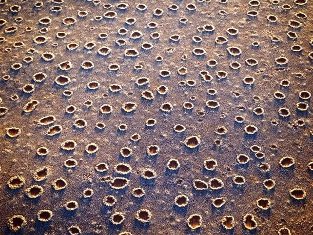  4. Vòng tròn thần tiên: Tại cánh đồng cỏ sa mạc cát ở Namibia, miền Nam châu Phi, "vòng tròn thần tiên" là một bí ẩn đánh đố các nhà khoa học. Những vòng tròn này có đường kính khoảng 2 - 15m và có tuổi thọ trung bình khoảng 24 - 75 năm. 