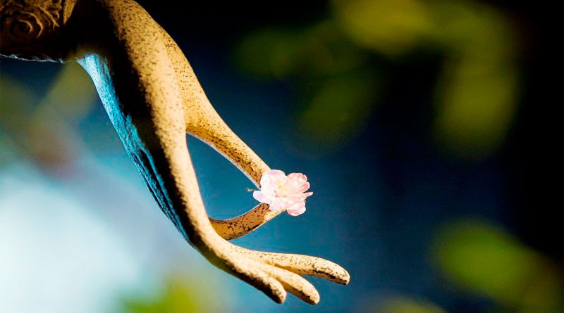 Phat day: Buong bo tap niem sau, khong can tho cung, van menh tu nhien tot