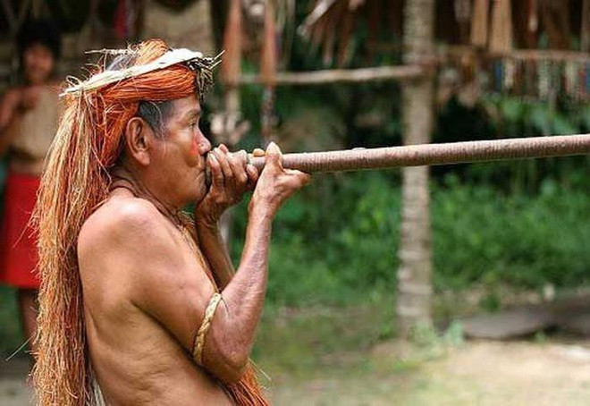 Bộ tộc Yanomami là thổ dân da đỏ bản địa ở vùng rừng rậm Amazon. Họ sống trong hàng trăm ngôi làng và tạo thành nhóm bộ lạc lớn nhất trong rừng này, nằm ở biên giới giữa Venezuela và Brasil, dân số hơn 20.000 người.