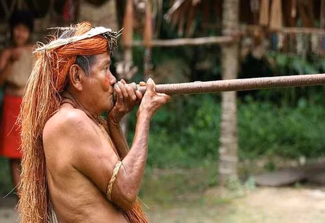  Bộ tộc Yanomami là thổ dân da đỏ bản địa ở vùng rừng rậm Amazon. Họ sống trong hàng trăm ngôi làng và tạo thành nhóm bộ lạc lớn nhất trong rừng này, nằm ở biên giới giữa Venezuela và Brasil, dân số hơn 20.000 người.
