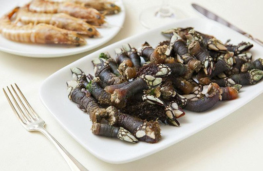 Hà ngỗng là món ẩm thực của người Tây Ban Nha và Bồ Đào Nha. Nhu cầu thưởng thức món ăn này ở 2 quốc gia trên rất cao dẫn tới nguồn hà ngỗng ngày càng khan hiếm. Tại Bồ Đào Nha, việc đánh bắt hà ngỗng phải được cấp phép. Theo BBC, mỗi đĩa hà ngỗng có giá khoảng 100 euro (hơn 3 triệu đồng).