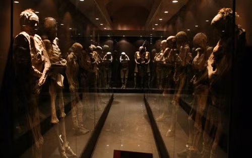  Bảo tàng xác ướp El Museo De Las Momias, Mexico: Các hiện vật ở bảo tàng này không dành cho những du khách yếu tim. Đó là các xác ướp của những người chết trong trận dịch tả ở thành phố vào năm 1833, những người mà họ hàng không có khả năng chôn chất tử tế. Các thi thể được dựng dọc hành lang, mặt hướng ra phía các du khách tham quan.