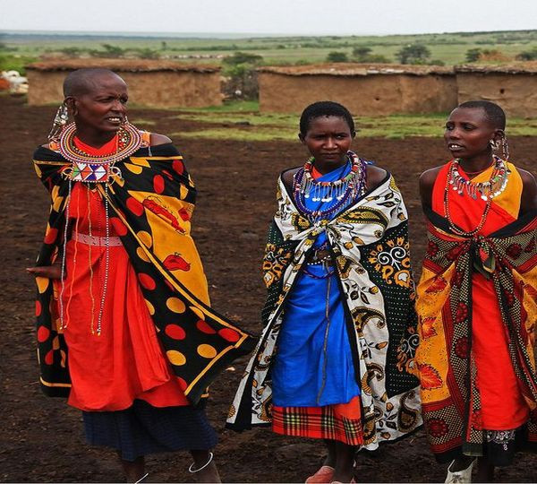 Người Maasai duy trì phong tục đa thê, họ có thể lấy được 14 người vợ, miễn là anh ta có nhiều gia súc. Gia súc được coi là lễ vật cầu hôn không thể thiếu của đàn ông bộ tộc này. Cha mẹ cô gái sẽ gả con cho người đàn ông nào mang đến nhiều bò, cừu, dê nhất.