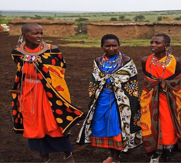 Người Maasai duy trì phong tục đa thê, họ có thể lấy được 14 người vợ, miễn là anh ta có nhiều gia súc. Gia súc được coi là lễ vật cầu hôn không thể thiếu của đàn ông bộ tộc này. Cha mẹ cô gái sẽ gả con cho người đàn ông nào mang đến nhiều bò, cừu, dê nhất.