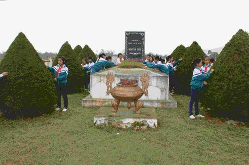 Theo sách "Việt sử giai thoại", Nguyễn Biểu quê ở làng Bình Hồ, huyện La Sơn, trấn Nghệ An, nay thuộc xã Yên Hồ, huyện Đức Thọ, tỉnh Hà Tĩnh.