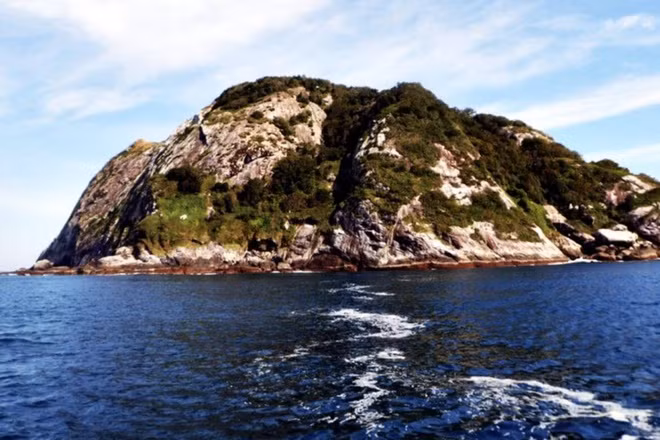 Đảo Ilha da Queimada Grande nằm cách bờ biển bang São Paulo (Brazil) 33 km, rộng 43 ha và thuộc biển Nam Đại Tây Dương.