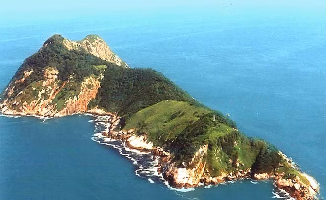 Hon dao khong nguoi o, co hon 400.000 con ran doc