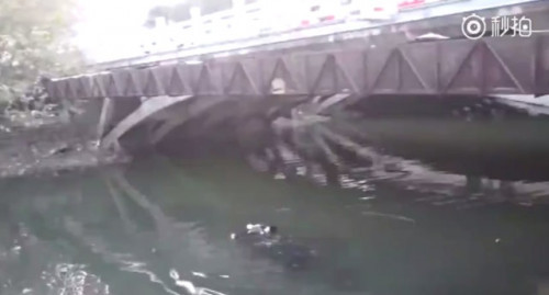 Nhảy xuống sông tự tử mà không chết .