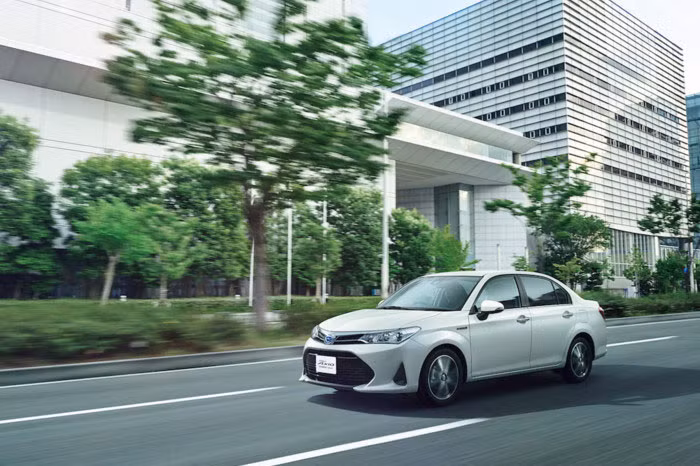 Các kích thước cơ bản của Toyota Corolla Axio phiên bản 2018 bao gồm chiều dài tổng thể 4.400 mm, rộng 1.695 mm và cao 1.460 mm. Như vậy, so với Corolla bản quốc tế, Axio có chiều dài cùng chiều rộng nhỏ hơn. Kích cỡ của Corolla Axio cũng tương đương với kích cỡ của Toyota Vios phiên bản quốc tế.