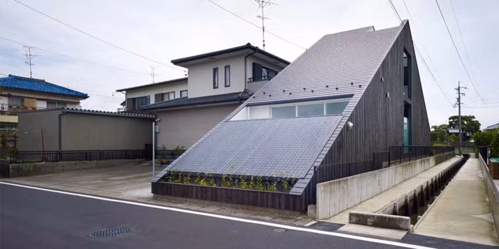 Hình dạng bề ngoài khá thu hút.