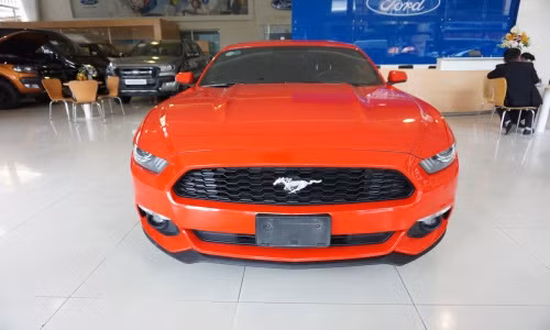 Mẫu xe ôtô Ford Mustang là dòng xe cơ bắp của hãng xẽ Ford sản xuất lần đầu tiên năm 1964, đến nay dòng xe này đã trãi qua hơn 50 năm hình thành và phát triển. Cái tên Ford Mustang được đặt theo tên một loại máy bay chiến đấu thời Thế chiến thứ II: P-51 Mustang.