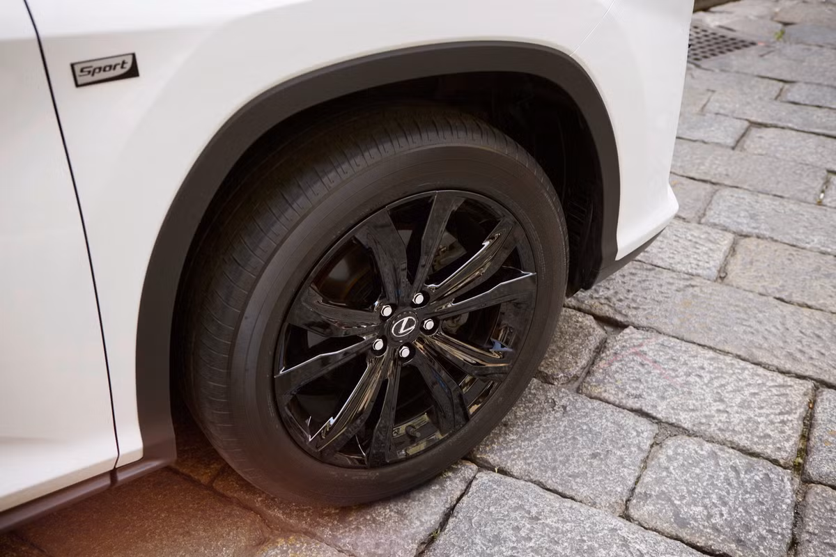 Logo thương hiệu hiệu xe sang Lexus và sport được đính nổi trên thân xe.