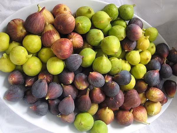 Quả sung còn có khả năng giảm sự thoái của điểm vàng - nguyên nhân gây mất thị lực ở người cao tuổi. Ảnh: vietq.